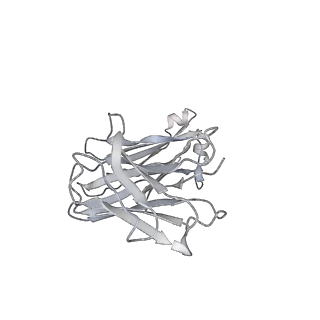 30516_7czt_L_v1-2
S protein of SARS-CoV-2 in complex bound with P5A-2G9