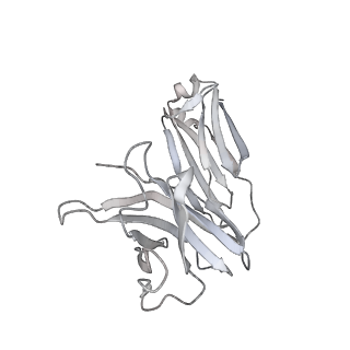 30516_7czt_M_v1-2
S protein of SARS-CoV-2 in complex bound with P5A-2G9