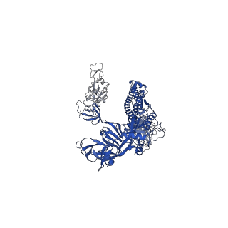 30517_7czu_C_v1-2
S protein of SARS-CoV-2 in complex bound with P5A-1B6_2B
