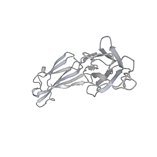 30517_7czu_H_v1-2
S protein of SARS-CoV-2 in complex bound with P5A-1B6_2B
