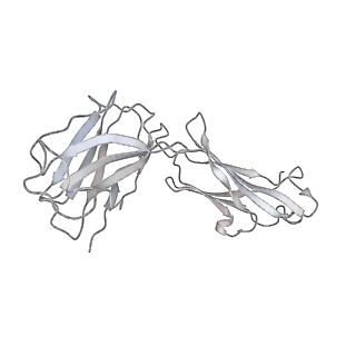 30517_7czu_J_v1-2
S protein of SARS-CoV-2 in complex bound with P5A-1B6_2B
