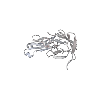 30519_7czw_L_v1-2
S protein of SARS-CoV-2 in complex bound with P5A-2G7