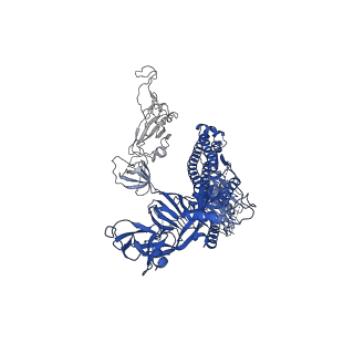 30520_7czx_C_v1-3
S protein of SARS-CoV-2 in complex bound with P5A-1B9