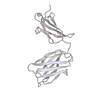 30520_7czx_H_v1-3
S protein of SARS-CoV-2 in complex bound with P5A-1B9