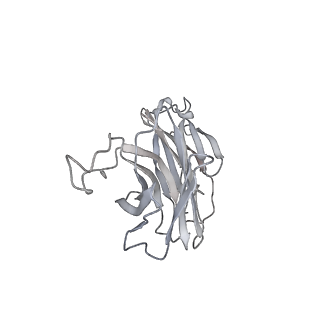 30520_7czx_I_v1-3
S protein of SARS-CoV-2 in complex bound with P5A-1B9