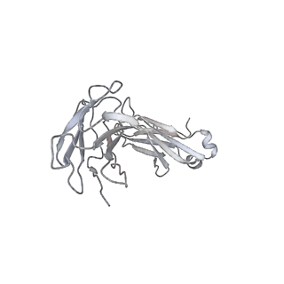 30520_7czx_M_v1-3
S protein of SARS-CoV-2 in complex bound with P5A-1B9