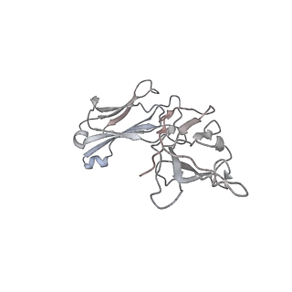 30520_7czx_N_v1-3
S protein of SARS-CoV-2 in complex bound with P5A-1B9