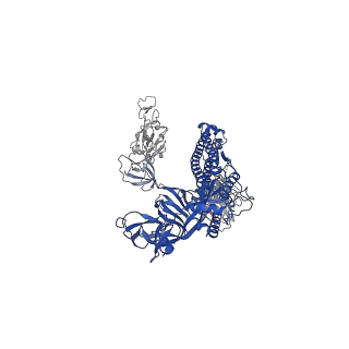 30521_7czy_C_v1-2
S protein of SARS-CoV-2 in complex bound with P5A-2F11_2B