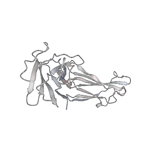 30521_7czy_J_v1-2
S protein of SARS-CoV-2 in complex bound with P5A-2F11_2B