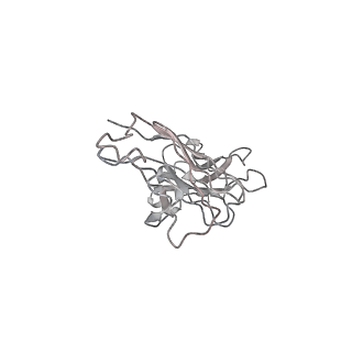30521_7czy_N_v1-2
S protein of SARS-CoV-2 in complex bound with P5A-2F11_2B