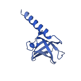 27104_8d0b_C_v1-2
Human CST-DNA polymerase alpha/primase preinitiation complex bound to 4xTEL-foldback template