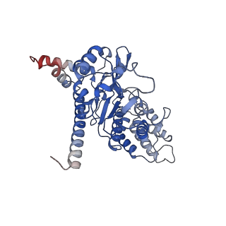 27104_8d0b_D_v1-3
Human CST-DNA polymerase alpha/primase preinitiation complex bound to 4xTEL-foldback template