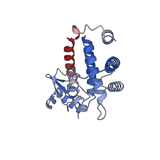 27104_8d0b_E_v1-2
Human CST-DNA polymerase alpha/primase preinitiation complex bound to 4xTEL-foldback template