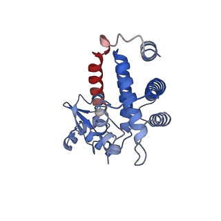 27104_8d0b_E_v1-3
Human CST-DNA polymerase alpha/primase preinitiation complex bound to 4xTEL-foldback template