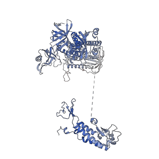27104_8d0b_F_v1-2
Human CST-DNA polymerase alpha/primase preinitiation complex bound to 4xTEL-foldback template