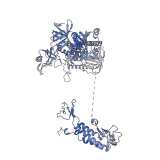 27104_8d0b_F_v1-3
Human CST-DNA polymerase alpha/primase preinitiation complex bound to 4xTEL-foldback template