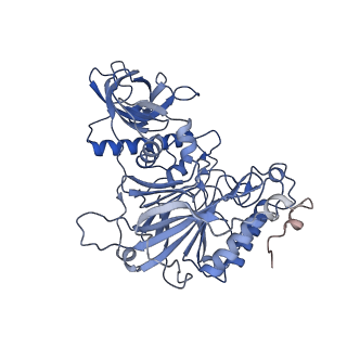 27104_8d0b_G_v1-2
Human CST-DNA polymerase alpha/primase preinitiation complex bound to 4xTEL-foldback template