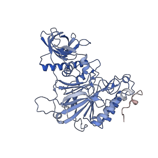 27104_8d0b_G_v1-3
Human CST-DNA polymerase alpha/primase preinitiation complex bound to 4xTEL-foldback template