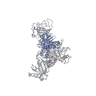 27107_8d0k_A_v1-2
Human CST-DNA polymerase alpha/primase preinitiation complex bound to 4xTEL-foldback template - PRIM2C advanced PIC
