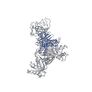 27107_8d0k_A_v1-3
Human CST-DNA polymerase alpha/primase preinitiation complex bound to 4xTEL-foldback template - PRIM2C advanced PIC