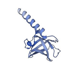 27107_8d0k_C_v1-2
Human CST-DNA polymerase alpha/primase preinitiation complex bound to 4xTEL-foldback template - PRIM2C advanced PIC