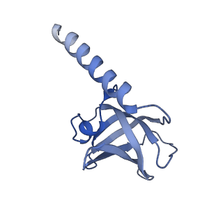 27107_8d0k_C_v1-3
Human CST-DNA polymerase alpha/primase preinitiation complex bound to 4xTEL-foldback template - PRIM2C advanced PIC