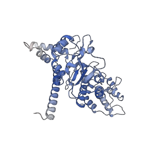 27107_8d0k_D_v1-2
Human CST-DNA polymerase alpha/primase preinitiation complex bound to 4xTEL-foldback template - PRIM2C advanced PIC