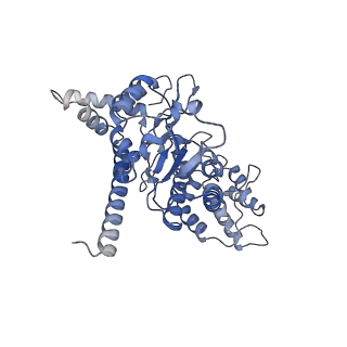 27107_8d0k_D_v1-3
Human CST-DNA polymerase alpha/primase preinitiation complex bound to 4xTEL-foldback template - PRIM2C advanced PIC