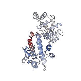 27107_8d0k_E_v1-2
Human CST-DNA polymerase alpha/primase preinitiation complex bound to 4xTEL-foldback template - PRIM2C advanced PIC