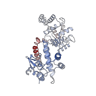 27107_8d0k_E_v1-3
Human CST-DNA polymerase alpha/primase preinitiation complex bound to 4xTEL-foldback template - PRIM2C advanced PIC