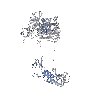 27107_8d0k_F_v1-3
Human CST-DNA polymerase alpha/primase preinitiation complex bound to 4xTEL-foldback template - PRIM2C advanced PIC