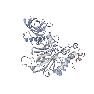 27107_8d0k_G_v1-2
Human CST-DNA polymerase alpha/primase preinitiation complex bound to 4xTEL-foldback template - PRIM2C advanced PIC