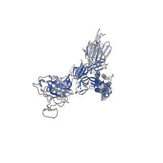 27113_8d0z_A_v1-1
S728-1157 IgG in complex with SARS-CoV-2-6P-Mut7 Spike protein (focused refinement)