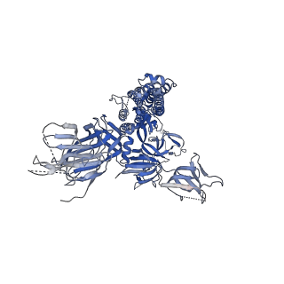 27113_8d0z_B_v1-1
S728-1157 IgG in complex with SARS-CoV-2-6P-Mut7 Spike protein (focused refinement)