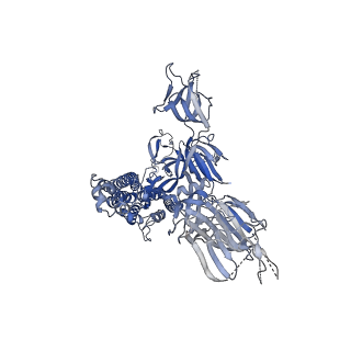 27113_8d0z_C_v1-1
S728-1157 IgG in complex with SARS-CoV-2-6P-Mut7 Spike protein (focused refinement)