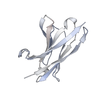 27113_8d0z_H_v1-1
S728-1157 IgG in complex with SARS-CoV-2-6P-Mut7 Spike protein (focused refinement)