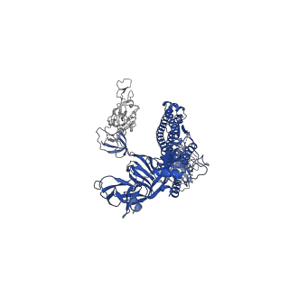 30523_7d00_C_v1-2
S protein of SARS-CoV-2 in complex bound with FabP5A-1B8