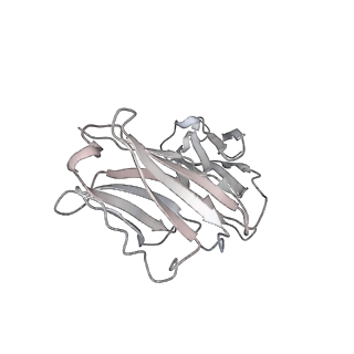 30523_7d00_J_v1-2
S protein of SARS-CoV-2 in complex bound with FabP5A-1B8