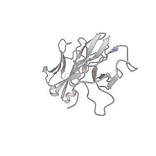 30523_7d00_K_v1-2
S protein of SARS-CoV-2 in complex bound with FabP5A-1B8