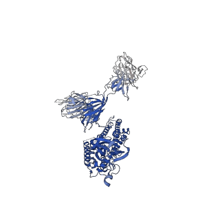 30524_7d03_A_v1-2
S protein of SARS-CoV-2 in complex bound with FabP5A-2G7
