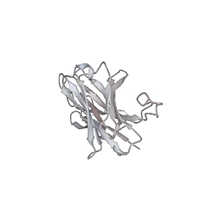30524_7d03_H_v1-2
S protein of SARS-CoV-2 in complex bound with FabP5A-2G7