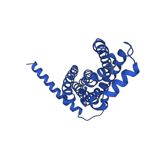30525_7d06_A_v1-1
Cryo EM structure of the nucleotide free Acinetobacter MlaFEDB complex