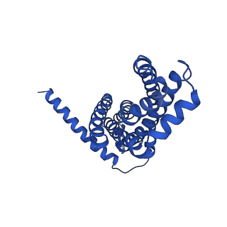 30525_7d06_A_v1-2
Cryo EM structure of the nucleotide free Acinetobacter MlaFEDB complex