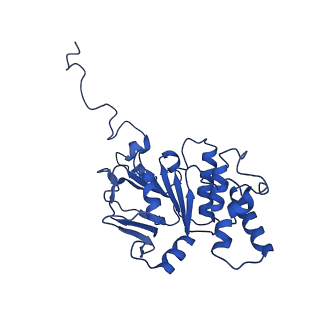 30525_7d06_B_v1-1
Cryo EM structure of the nucleotide free Acinetobacter MlaFEDB complex