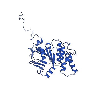 30525_7d06_B_v1-2
Cryo EM structure of the nucleotide free Acinetobacter MlaFEDB complex