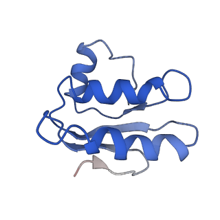 30525_7d06_C_v1-1
Cryo EM structure of the nucleotide free Acinetobacter MlaFEDB complex