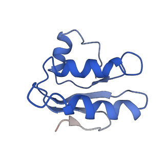 30525_7d06_C_v1-2
Cryo EM structure of the nucleotide free Acinetobacter MlaFEDB complex