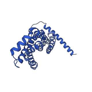 30525_7d06_D_v1-1
Cryo EM structure of the nucleotide free Acinetobacter MlaFEDB complex