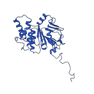 30525_7d06_E_v1-1
Cryo EM structure of the nucleotide free Acinetobacter MlaFEDB complex
