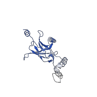 30525_7d06_G_v1-2
Cryo EM structure of the nucleotide free Acinetobacter MlaFEDB complex